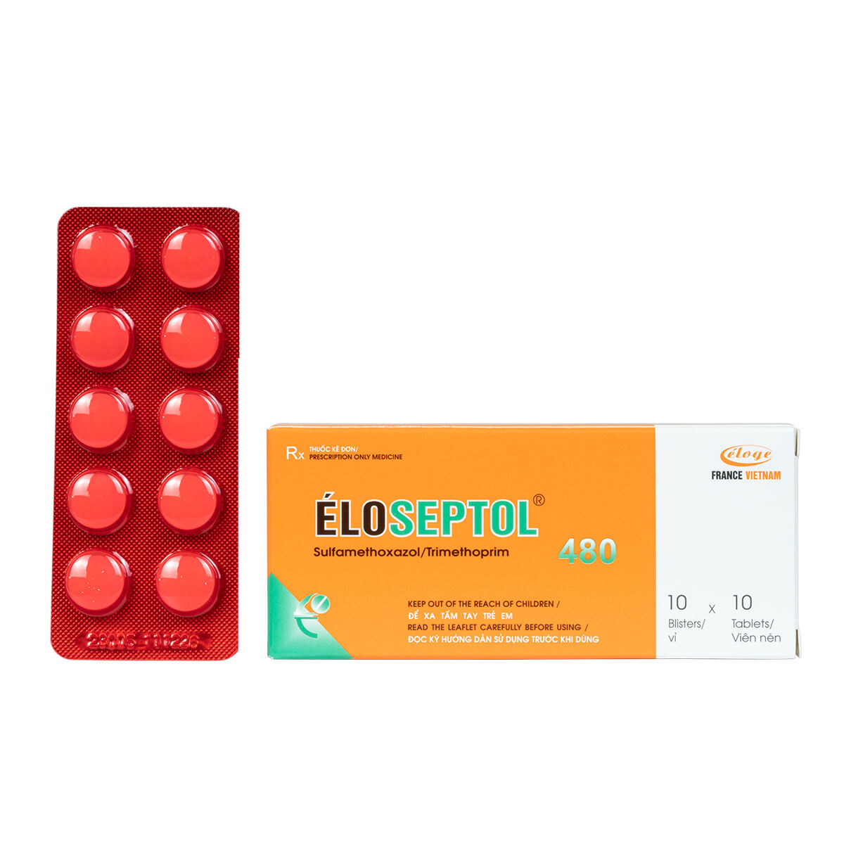 1200×1200-10×10 copy