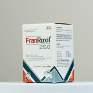 Franroxil 250 - Ảnh 2