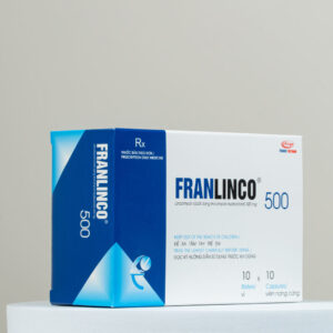 Franlinco 500 - Ảnh 3
