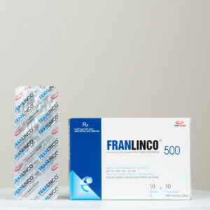 Franlinco 500 - Ảnh 4