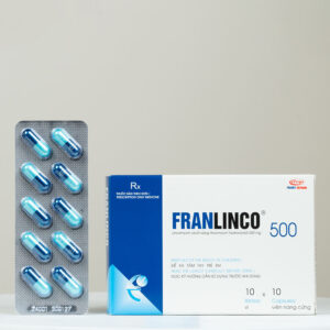 Franlinco 500 - Ảnh 5